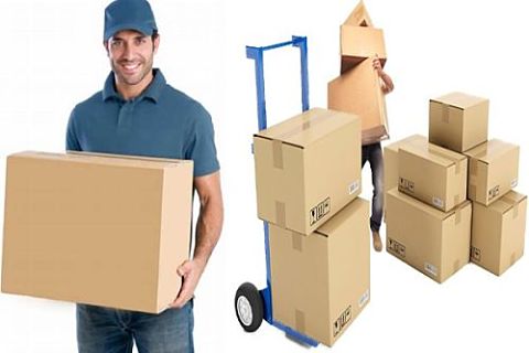 Packers And Movers India | Hindustan Cargo Packers And Movers
